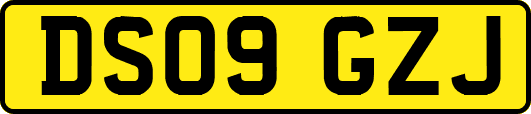 DS09GZJ