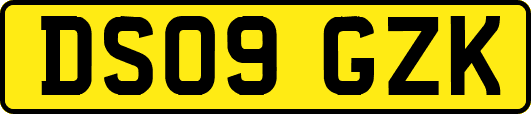 DS09GZK