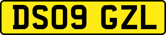 DS09GZL