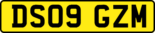 DS09GZM