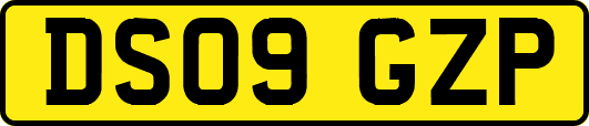 DS09GZP