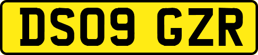 DS09GZR
