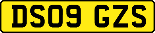 DS09GZS