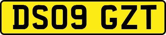 DS09GZT