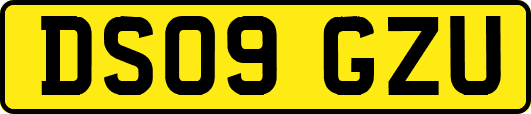DS09GZU