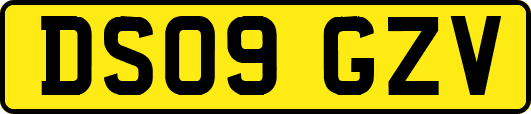 DS09GZV