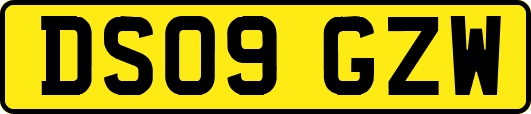 DS09GZW
