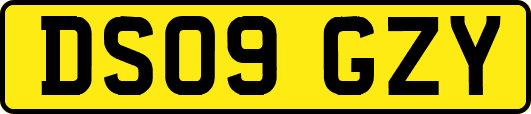 DS09GZY