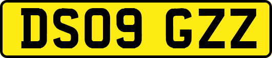 DS09GZZ