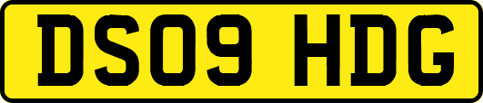 DS09HDG