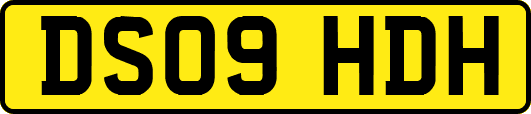 DS09HDH