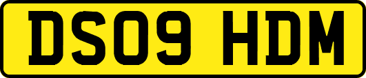 DS09HDM