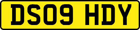 DS09HDY