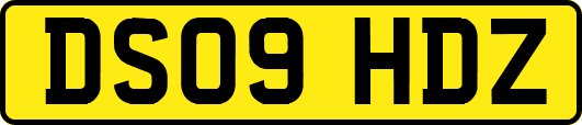 DS09HDZ