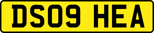 DS09HEA