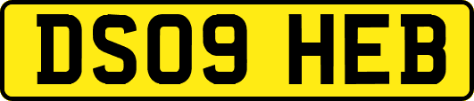 DS09HEB
