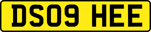 DS09HEE