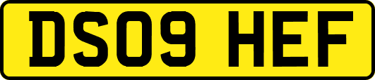 DS09HEF