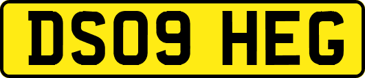 DS09HEG