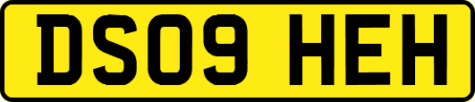 DS09HEH