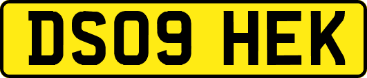 DS09HEK