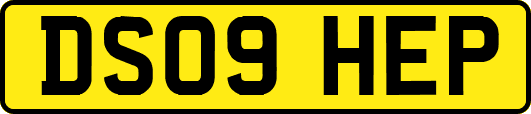 DS09HEP