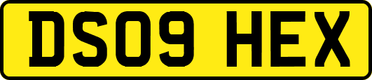 DS09HEX