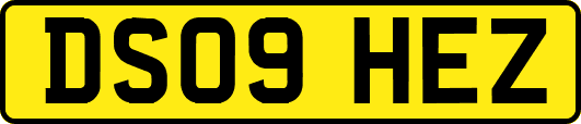 DS09HEZ