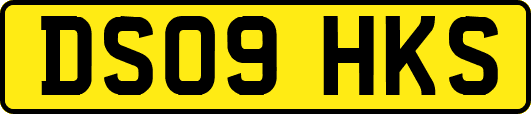 DS09HKS