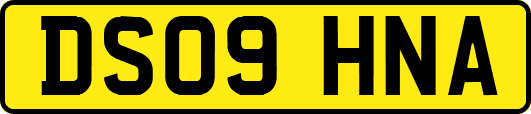 DS09HNA