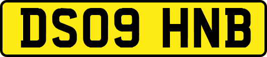 DS09HNB