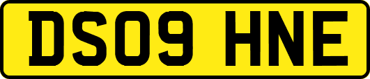 DS09HNE