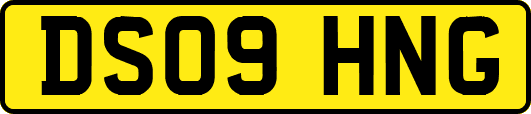 DS09HNG