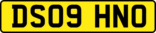 DS09HNO
