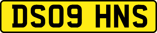 DS09HNS