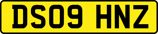 DS09HNZ