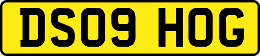 DS09HOG