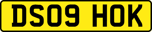 DS09HOK