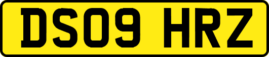 DS09HRZ