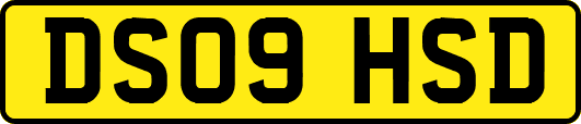 DS09HSD