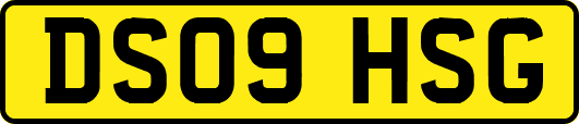 DS09HSG
