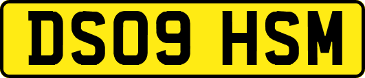 DS09HSM