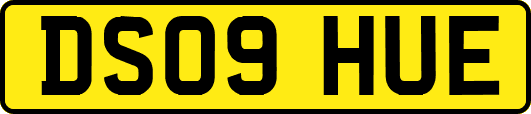 DS09HUE