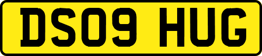 DS09HUG