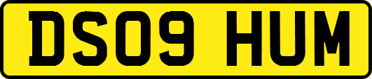 DS09HUM