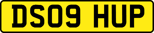DS09HUP