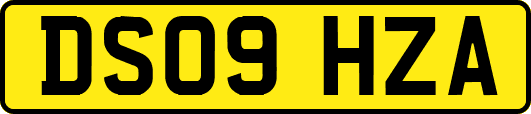 DS09HZA