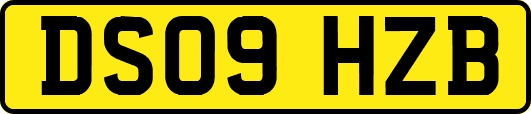 DS09HZB