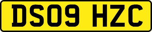 DS09HZC