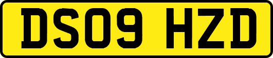 DS09HZD